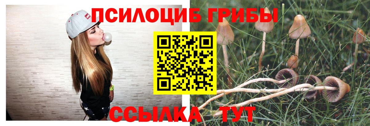 Псилоцибиновые грибы Magic Shrooms Аша