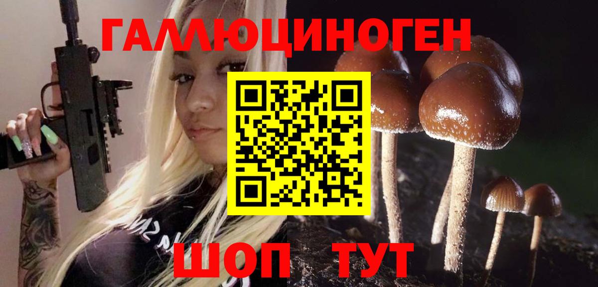 Псилоцибиновые грибы Cubensis  Галлюциногенные грибы Psilocybine cubensis  Аша 