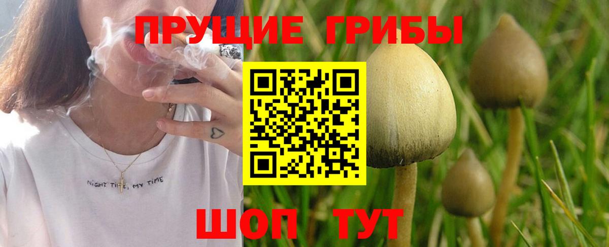 Псилоцибиновые грибы мицелий  что такое наркотик  Аша  Вход с VPN  Псилоцибиновые грибы ЛСД 