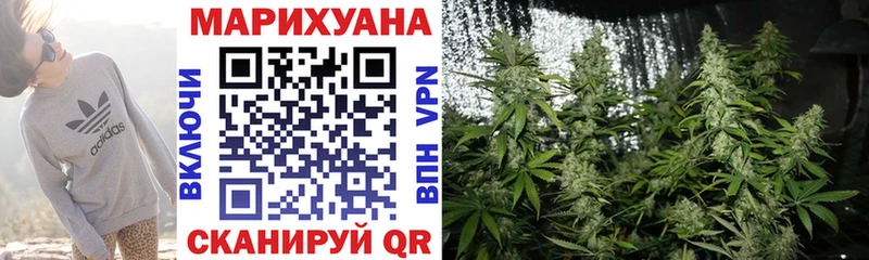 МАРИХУАНА конопля Аша